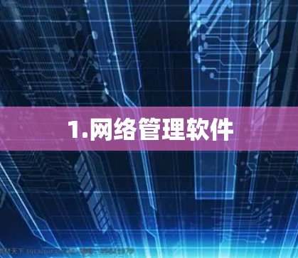 1.网络管理软件 1.网络管理软件
