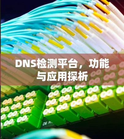 DNS检测平台,功能与应用探析 DNS检测平台,功能与应用探析