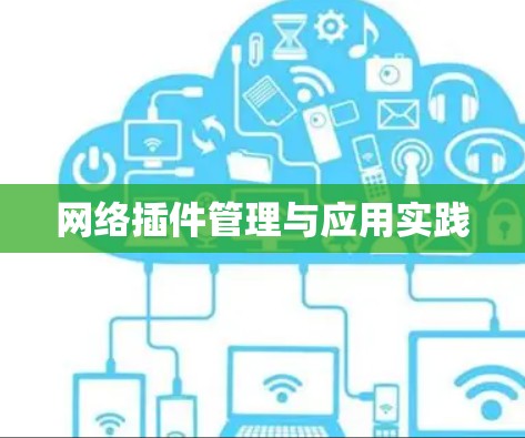网络插件管理与应用实践 网络插件管理与应用实践