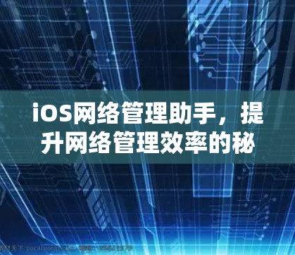 iOS网络管理助手，提升网络管理效率的秘密武器
