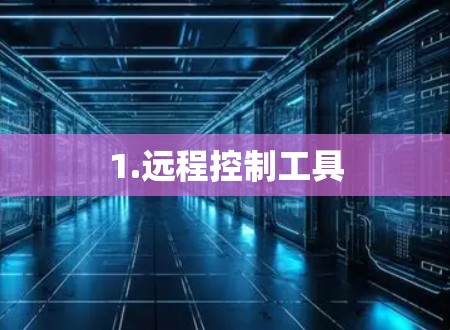 1.远程控制工具 1.远程控制工具