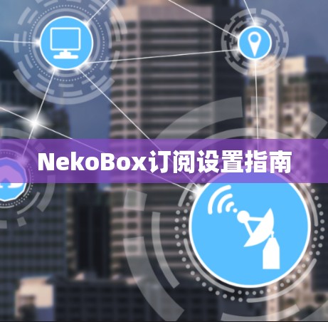 NekoBox订阅设置指南 NekoBox订阅设置指南