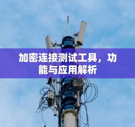 加密连接测试工具，功能与应用解析
