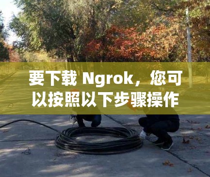 要下载 Ngrok,您可以按照以下步骤操作 要下载 Ngrok,您可以按照以下步骤操作