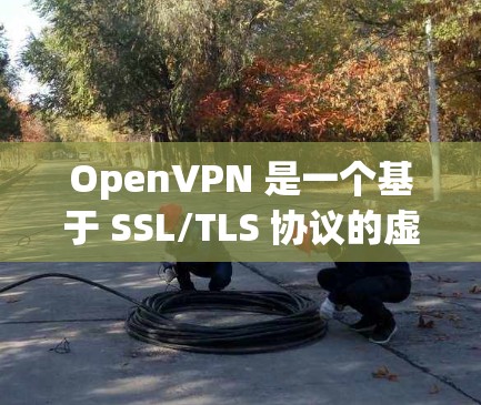OpenVPN 是一个基于 SSL/TLS 协议的虚拟专用网络(VPN)解决方案,允许用户 securelyly 连接到一个远程网络。要使用 OpenVPN,通常需要以下步骤 OpenVPN 是一个基于 SSL/TLS 协议的虚拟专用网络(VPN)解决方案,允许用户 securelyly 连接到一个远程网络。要使用 OpenVPN,通常需要以下步骤