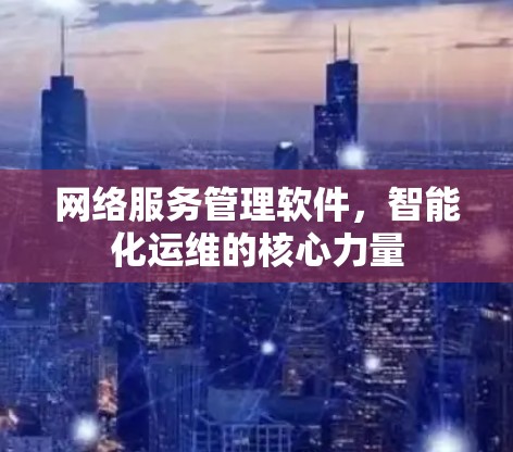 网络服务管理软件,智能化运维的核心力量 网络服务管理软件,智能化运维的核心力量