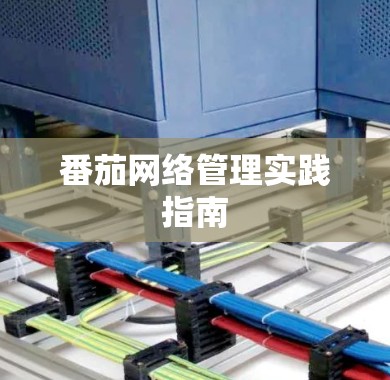 番茄网络管理实践指南 番茄网络管理实践指南