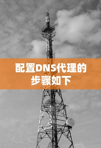 配置DNS代理的步骤如下