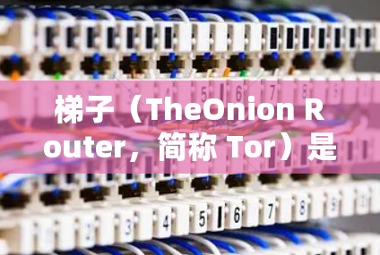 梯子(TheOnion Router,简称 Tor)是一种网络隐私工具,最初是为了保护用户的隐私和安全而开发的。它通过将数据传输经过多个节点,使得来源和目的难以追踪,从而提供匿名性 梯子(TheOnion Router,简称 Tor)是一种网络隐私工具,最初是为了保护用户的隐私和安全而开发的。它通过将数据传输经过多个节点,使得来源和目的难以追踪,从而提供匿名性