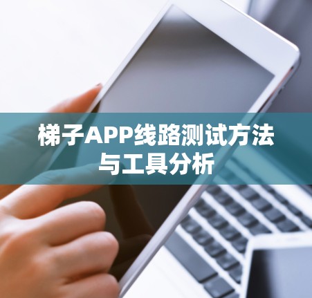 梯子APP线路测试方法与工具分析 梯子APP线路测试方法与工具分析