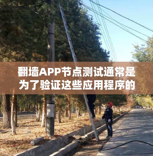 翻墙APP节点测试通常是为了验证这些应用程序的功能、性能和安全性。以下是一些常见的测试方法和注意事项 翻墙APP节点测试通常是为了验证这些应用程序的功能、性能和安全性。以下是一些常见的测试方法和注意事项