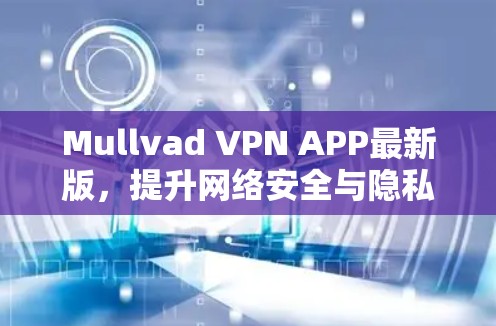 Mullvad VPN APP最新版,提升网络安全与隐私保护能力 Mullvad VPN APP最新版,提升网络安全与隐私保护能力