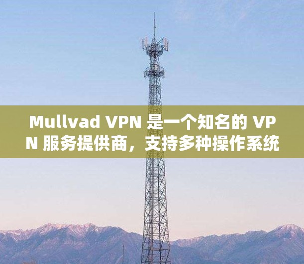 Mullvad VPN 是一个知名的 VPN 服务提供商，支持多种操作系统，包括 Windows。以下是使用 Mullvad VPN 在 Windows 系统上的基本步骤和注意事项